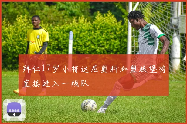 拜仁17岁小将达尼奥科加盟狼堡将直接进入一线队